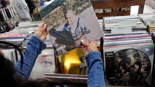 “It’s Not for Everybody” VINYL (collector’s edition) pre-order